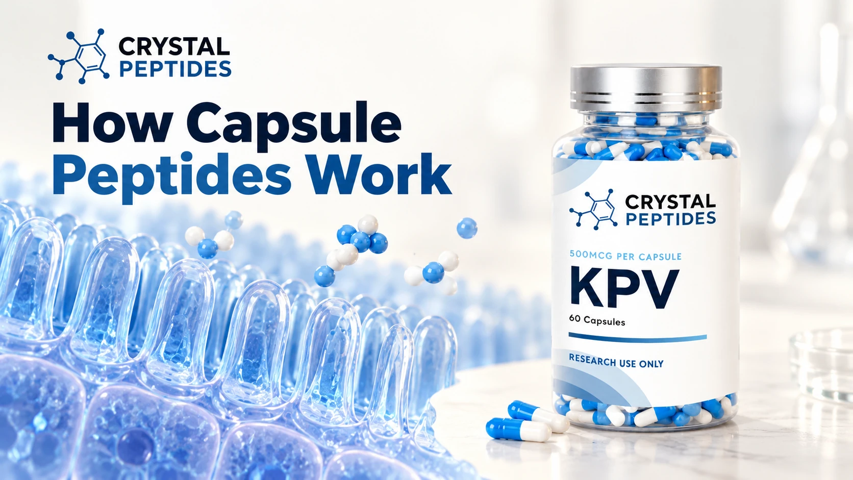 Flacone di capsule KPV Crystal Peptides accanto a un’illustrazione concettuale di una superficie intestinale.