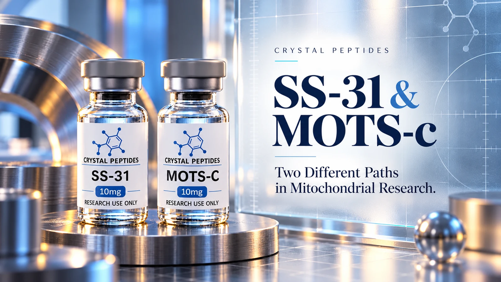 Illustrazione editoriale del prodotto: SS-31 / MOTS-c — Crystal Peptides.